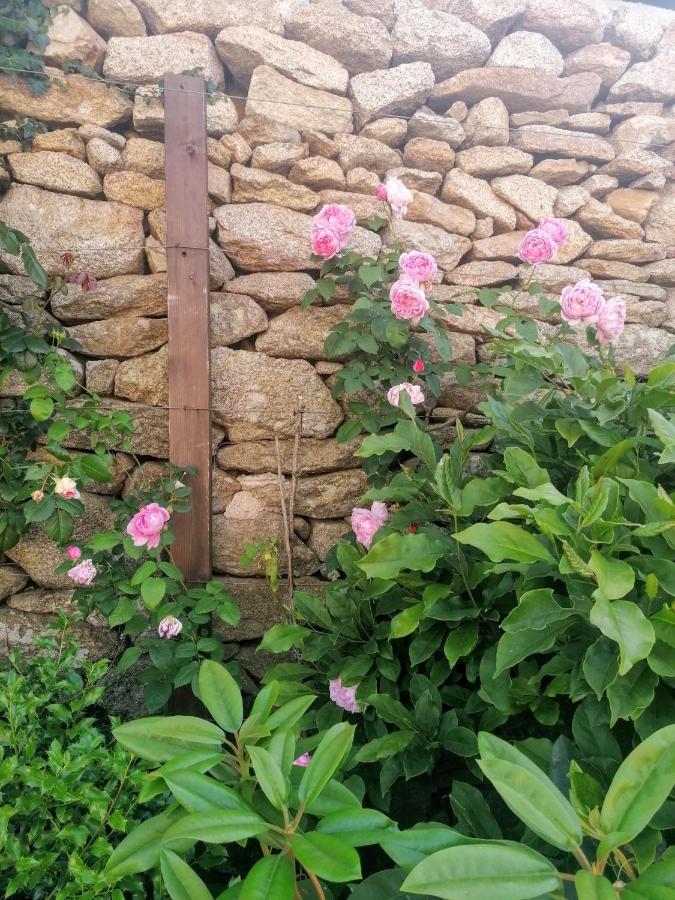 Rosas Da Granja - Casa De Campo מראה חיצוני תמונה