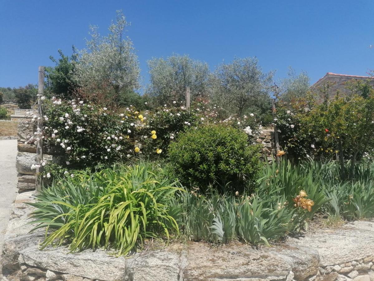 Rosas Da Granja - Casa De Campo מראה חיצוני תמונה